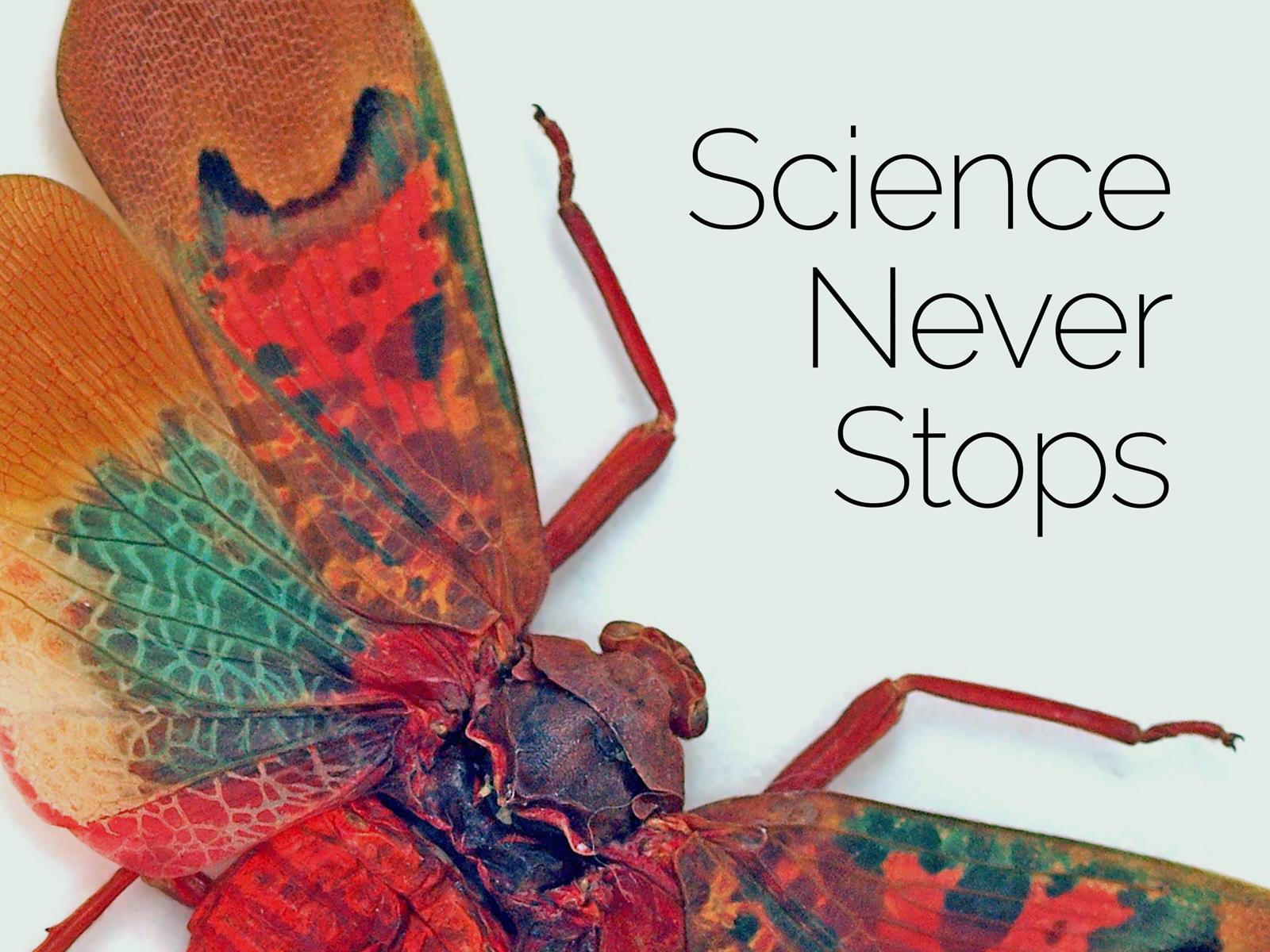 Annual Report 2019-2020