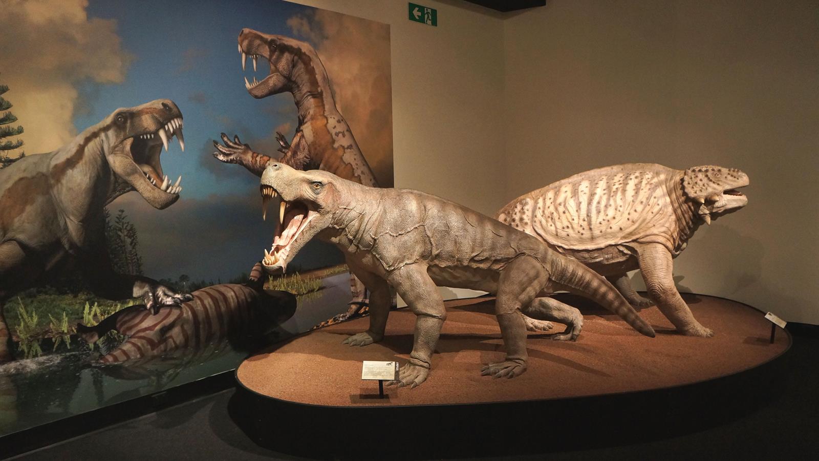 Two Permian Reptiles