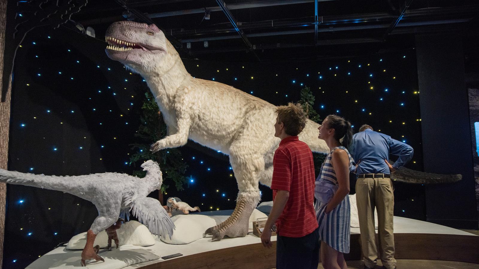 Visitors experience ice dinosaurs, with a large t-rex and a small velociraptor.