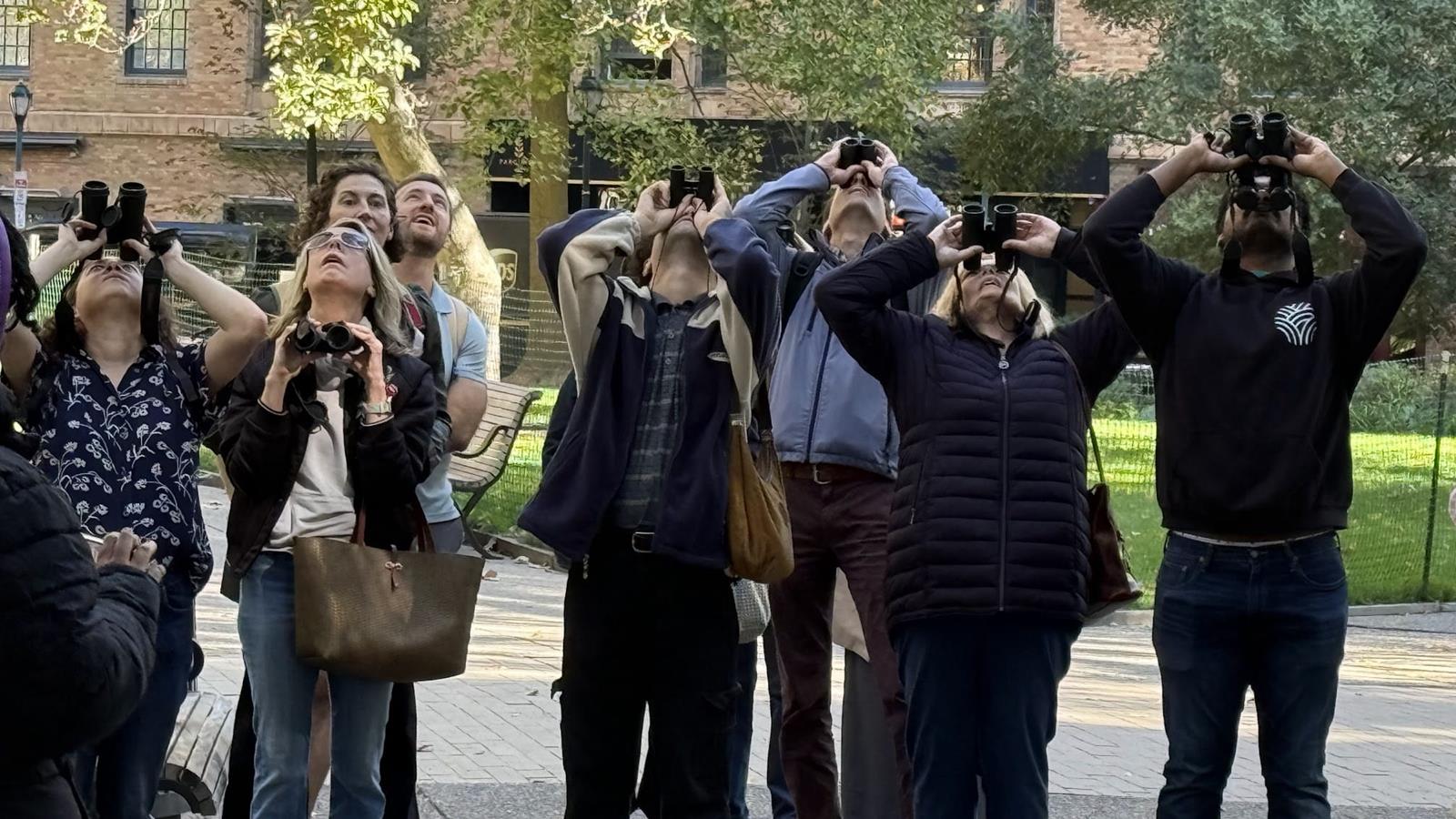 Group of people observing nature in a park