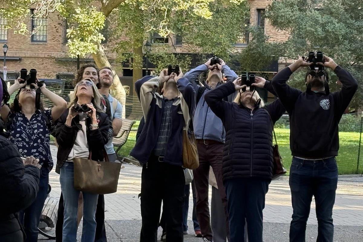 Group of people observing nature in a park