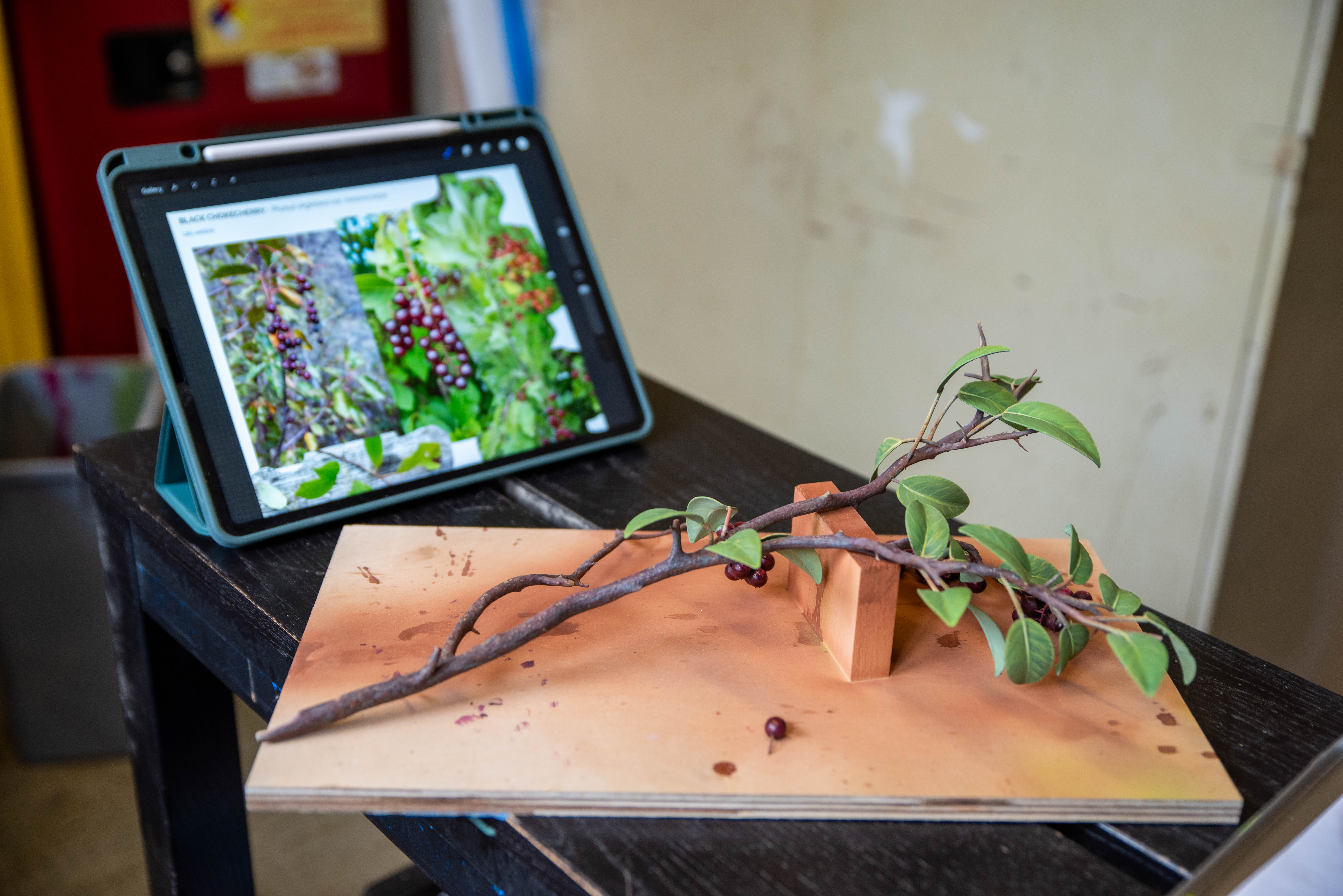 A 3-D printed and hand painted Chokecherry  on a piece of wood, next to a tables with an image of a Chokecherry.