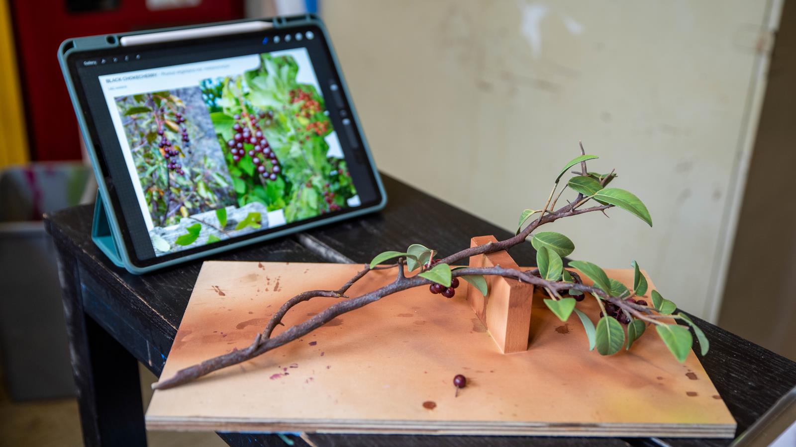 A 3-D printed and hand painted Chokecherry  on a piece of wood, next to a tables with an image of a Chokecherry.