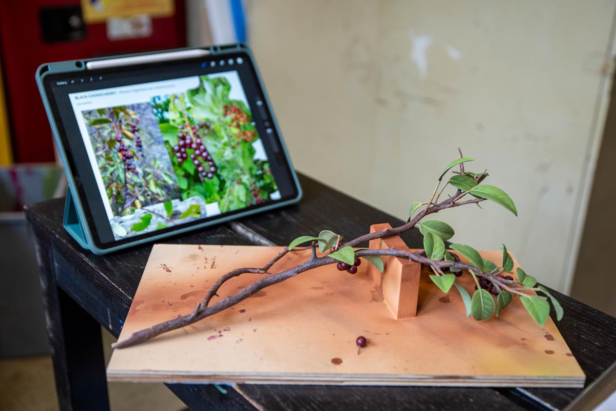 A 3-D printed and hand painted Chokecherry  on a piece of wood, next to a tables with an image of a Chokecherry.