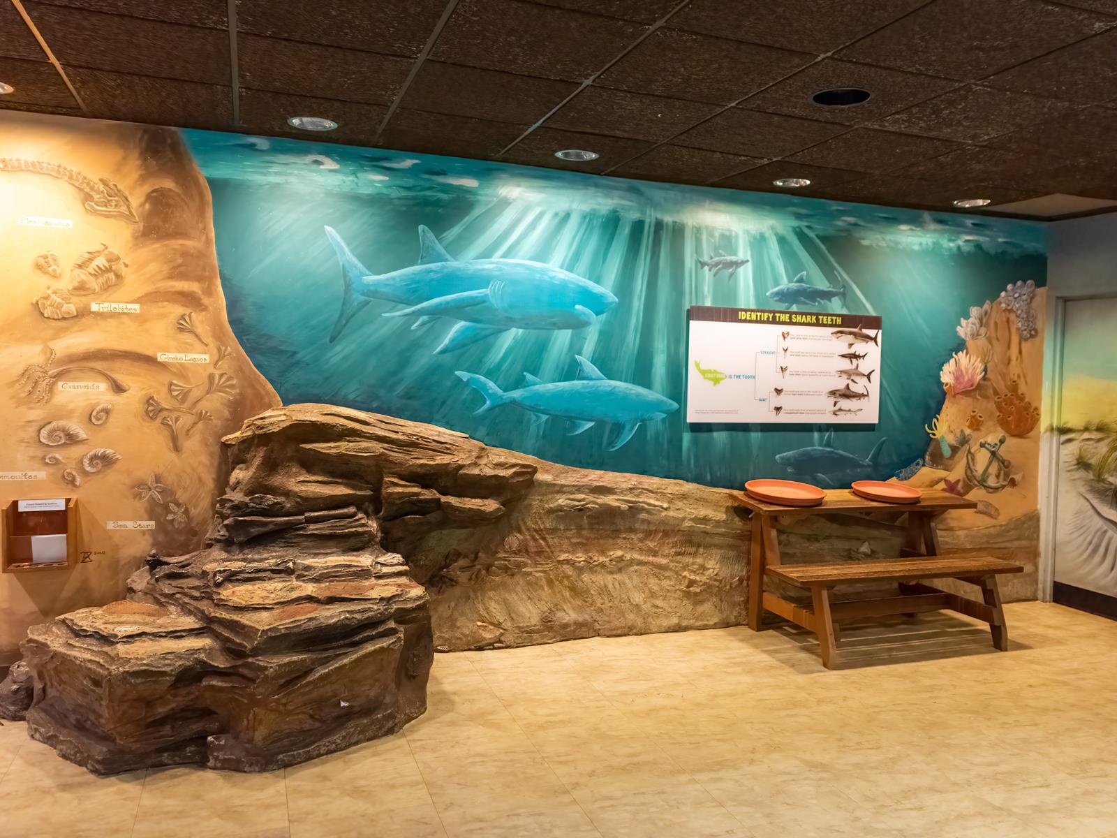 The shark tooth dig in Outside-In.