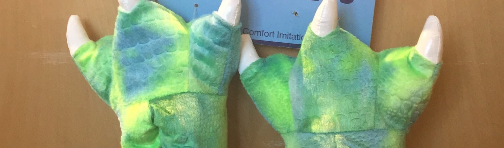 Dinosaur Slippers
