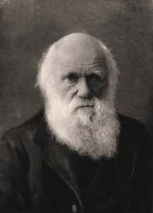 Charles Darwin. ANS Coll. 457.