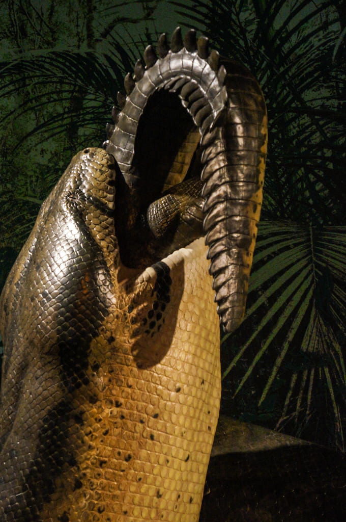 Titanoboa