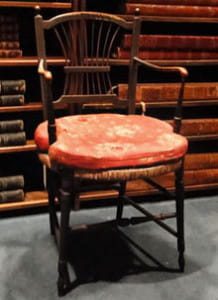 Did Darwin ever sit here? What do you think? ANS Coll. 2011.106.