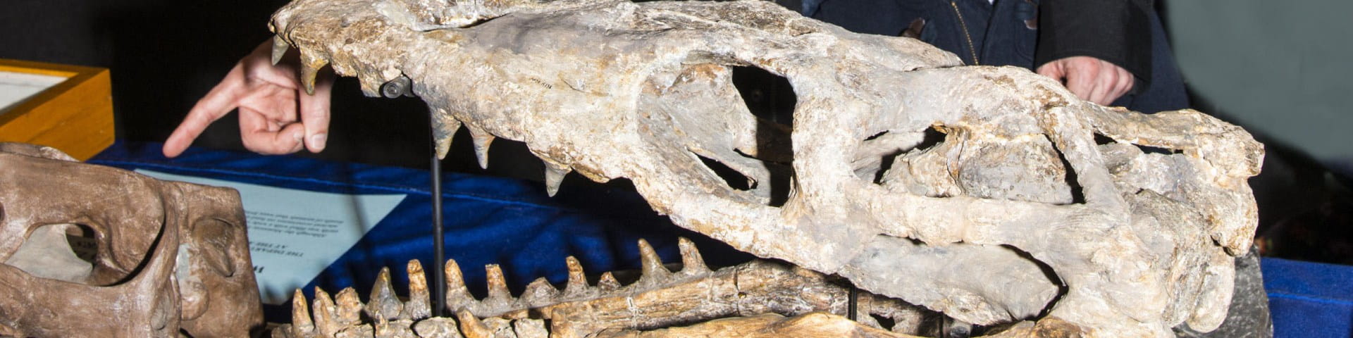 boy with skull