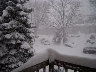 Snowy Day