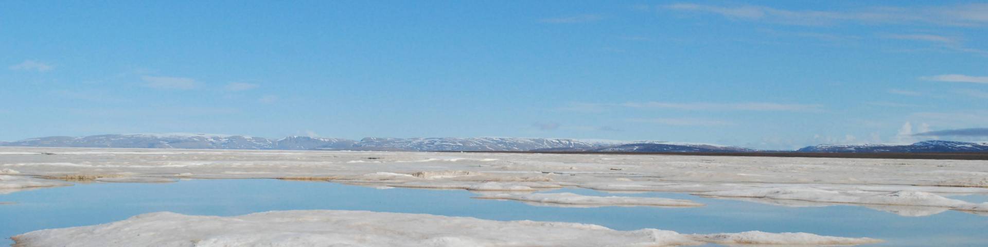 sea ice