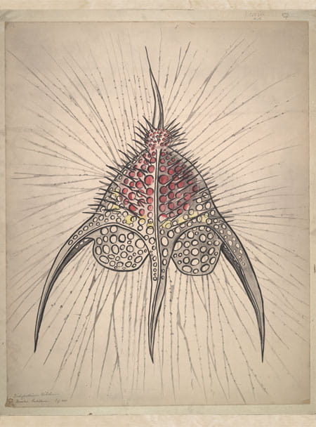 Archival Illustration