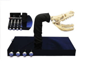 Final Model of Snake Jaw