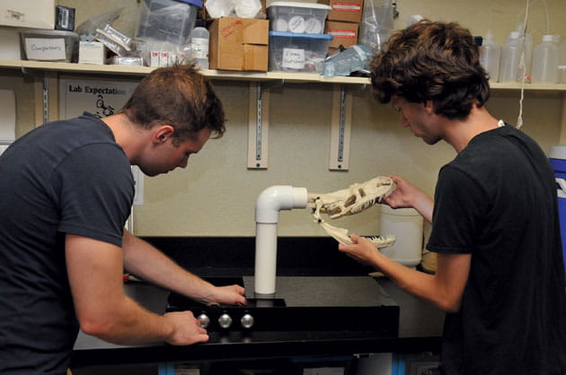 Students working