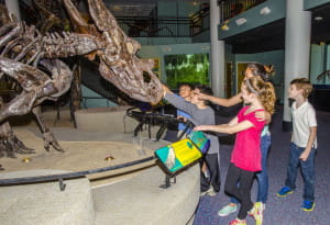 Celebrate dinosaurs of all kinds at Dinosaur Days!