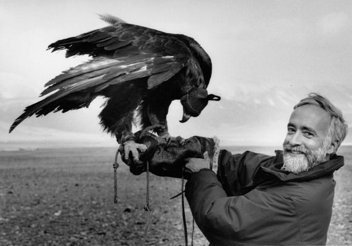 peck_eagle