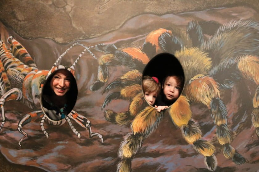 A tarantula family photo op. Photo by Mike Servedio/ANS