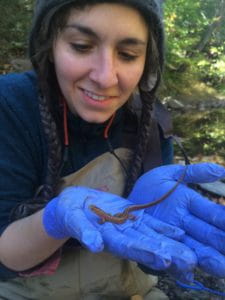 O'Donnell holds a salamander at her research site.