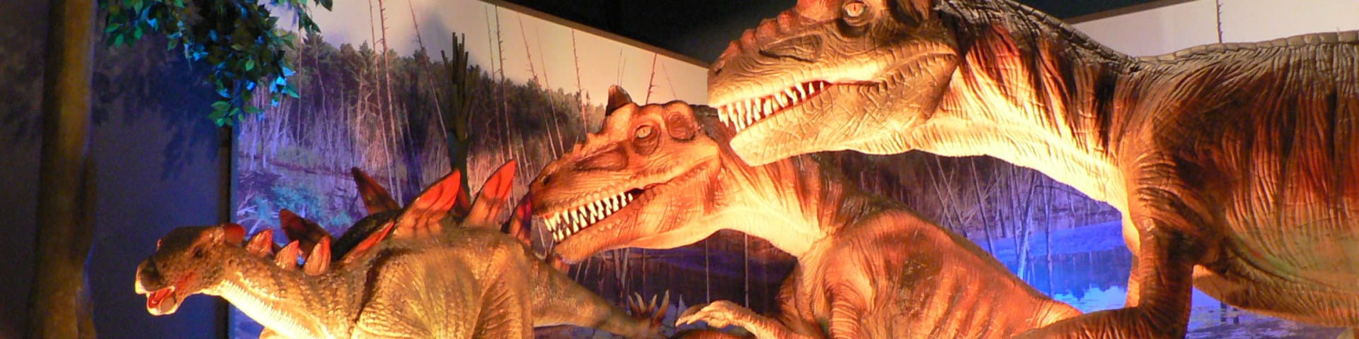 Dinosaurs in exhibit