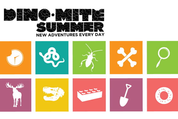 Dino-Mite Summer Colorful Boxes