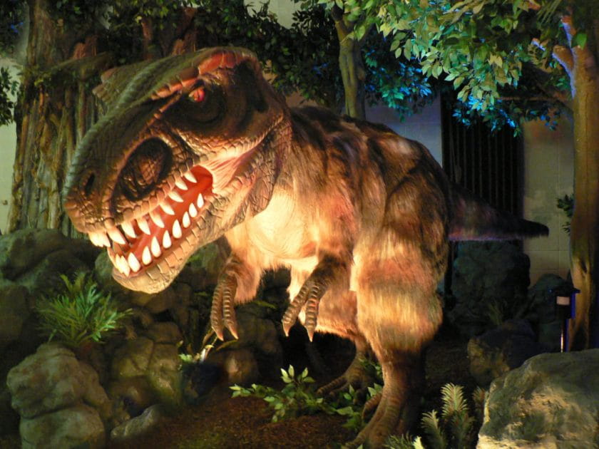 Scientists say T. rex had feathers as a youngster. Who knew?! Photo by Dinosaurs Unearthed.