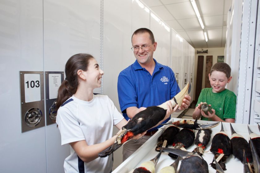 Rice says one of the greatest rewards of being Ornithology Collection Manager is helping students gain "experiential learning."