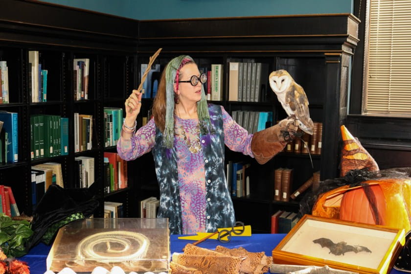 Embrace your inner wizard with fun, magical activities.