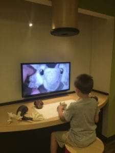Examine specimens up close with the giant microscope.