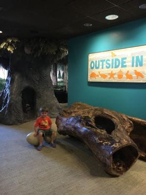 Outside In is a fun, interactive play space at the Academy.