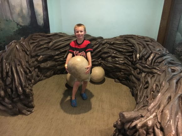 Play with eggs and learn more about eagles at the eagles' nest.