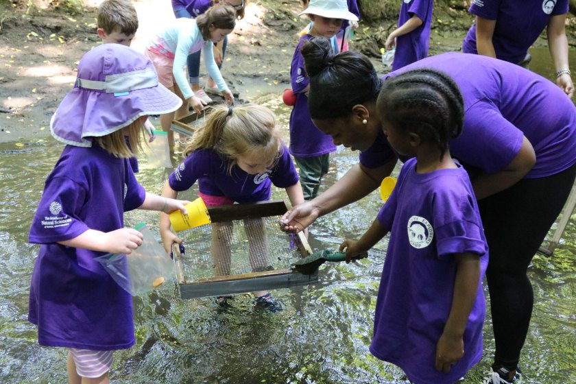 Academy of Natural Sciences summer campers search for fossils in a stream.
