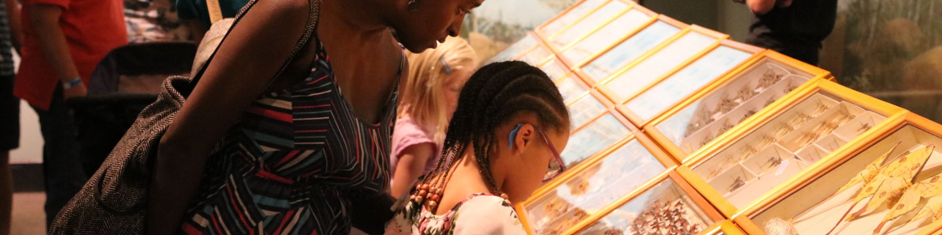 Mom and child looking at real bug specimens at the academy of natural sciences