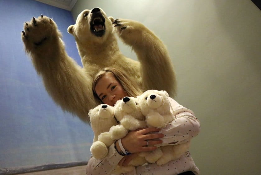 Young woman holds three plush polar bears under fierce-looking taxidermy polar bear