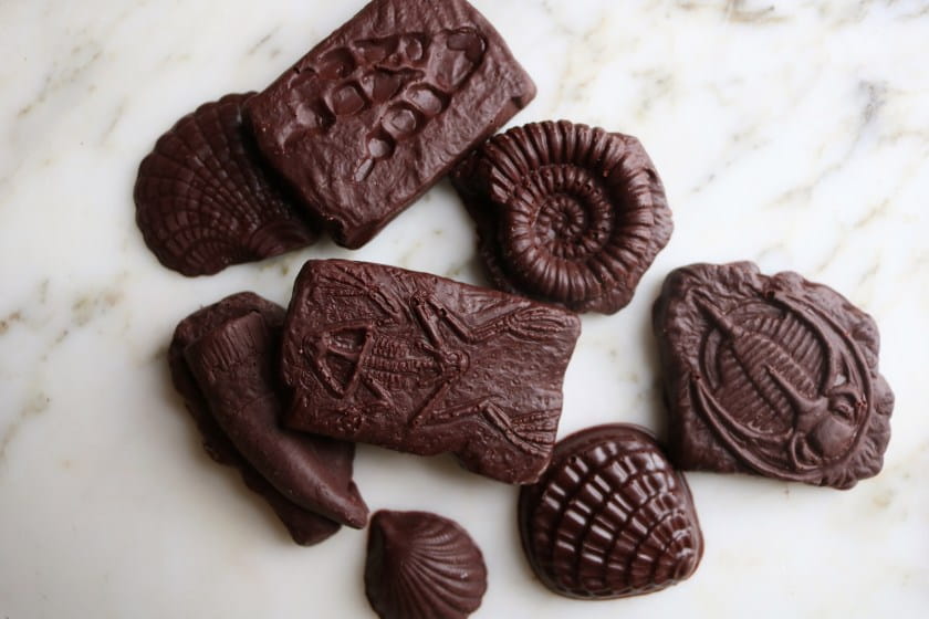 Shane Chocolate in shape of shells and fossils