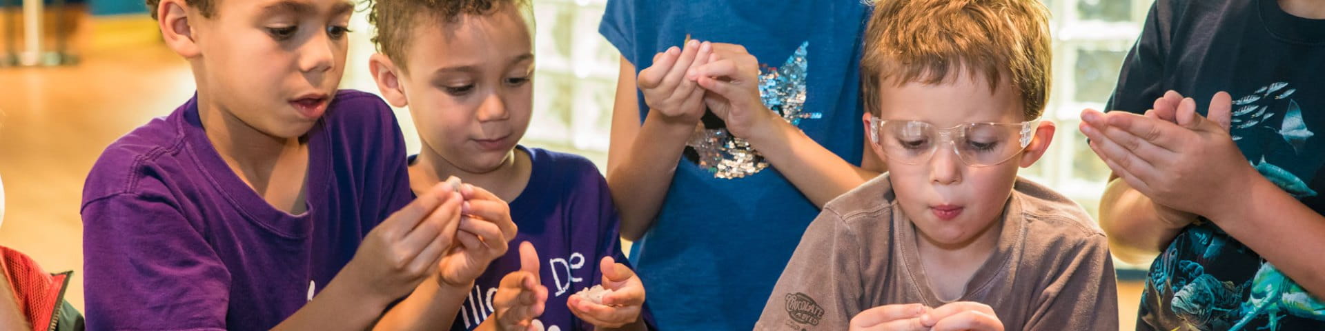 Five kids hold bugs at members night