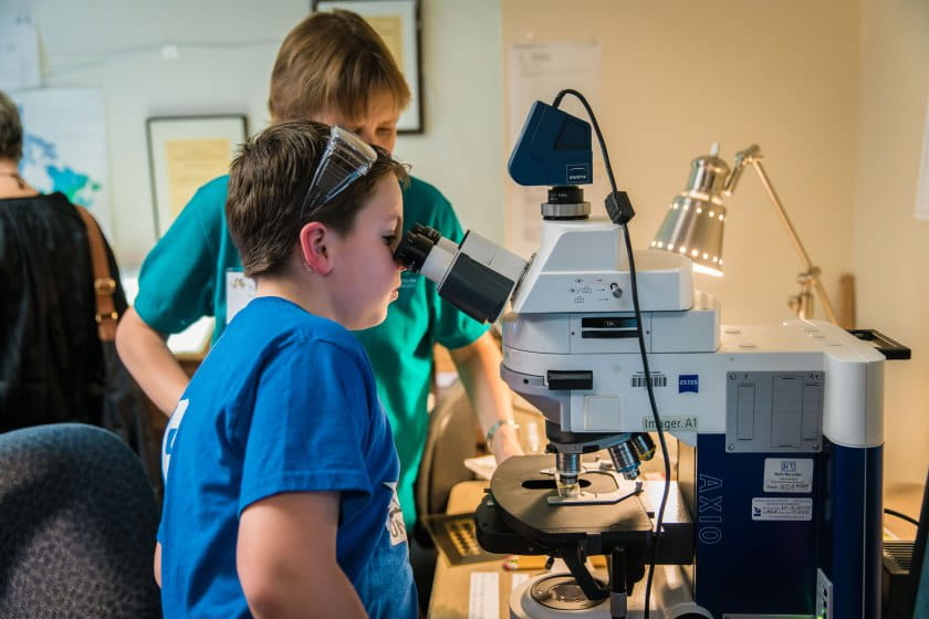 Boy in blue shirt looks in microscope