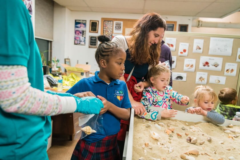 Young girls pick shells from sand table full of shells