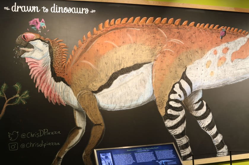 Hadrosaurus foulkii on large chalkboard