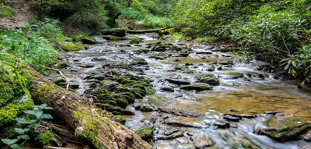 stream