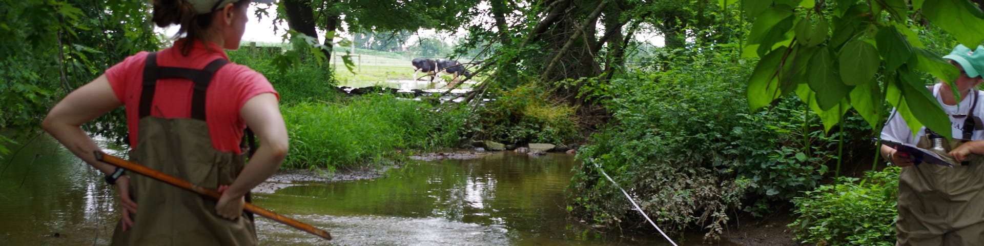 woman in water