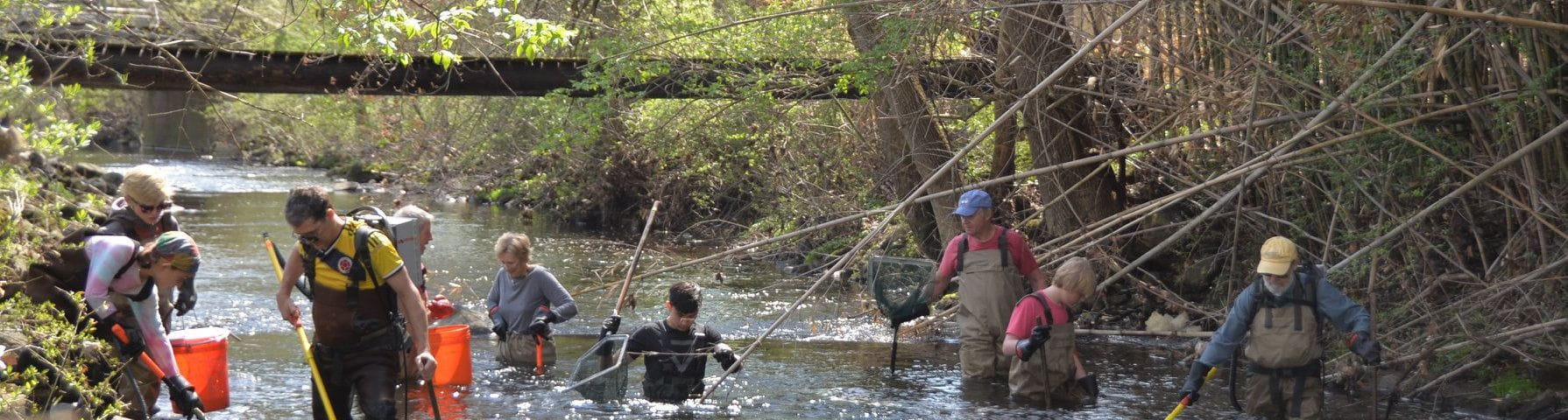 Scientists and others of all ages wade in a stream with nets and electroshocking gear