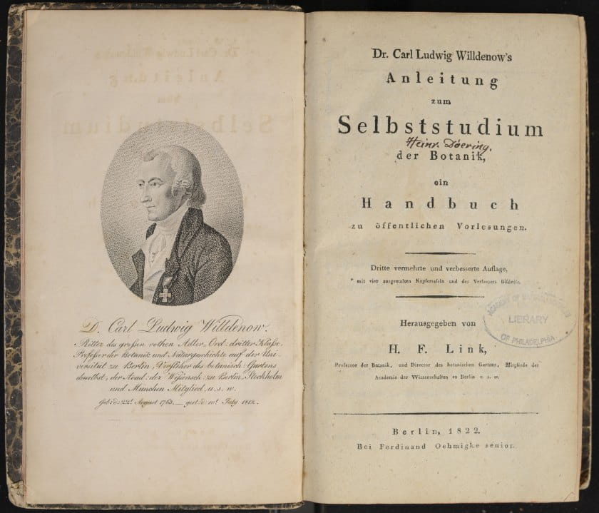 Title page from Willdenow book