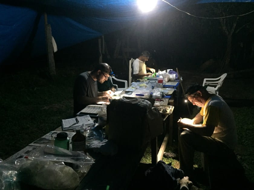 Researchers in the dark around a table, with headlamps working.