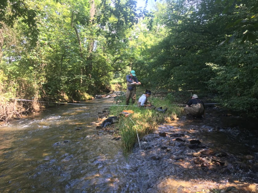 algae sampling