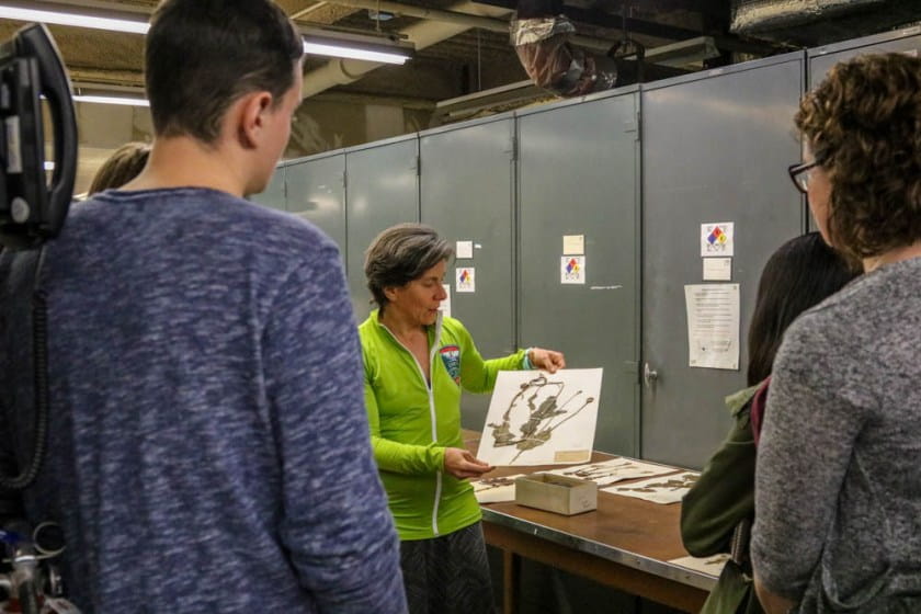 Woman in green jacket shows off herbarium specimen