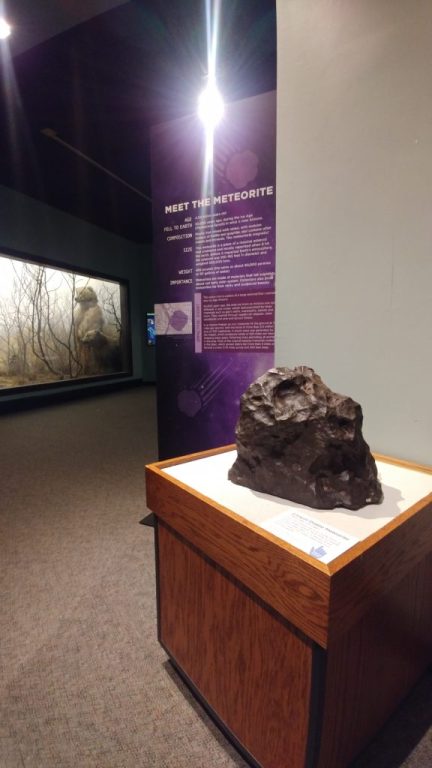 The famous meteorite sits amid the watchful eyes of the animals in North American Hall.