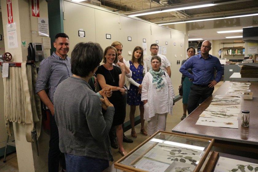 behind the scenes tour in botany, botanical specimens at right