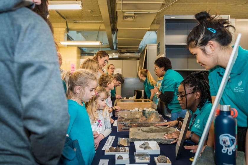 Families talk to staff in the Invertebrate Paleo Collection at ANS