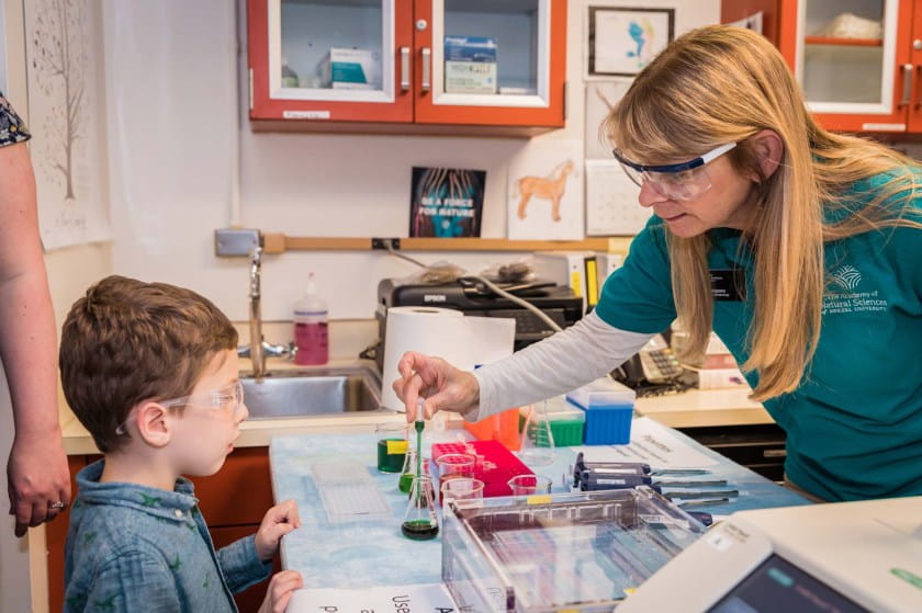 Scientist shows child how to use a pipette with green liquid